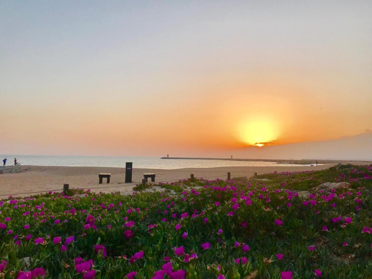 Vilamoura Ferias By Ethnic Ocean 外观 照片